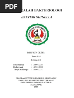 Download Makalah Bakteriologi Shigella by nurhadiayunus SN298992092 doc pdf