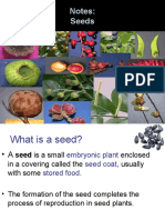 seedstructure-130129220104-phpapp01