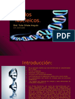 07_Ácidos Nucleicos.ppt
