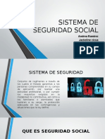 Sistema de Seguridad Social (1)