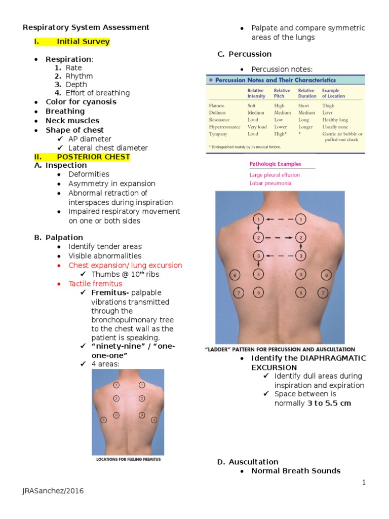 Respiratory System Assessment