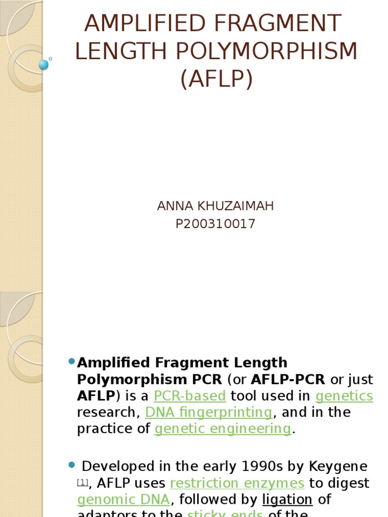 Amplified Fragment Length Polymorphism (Aflp) | PDF | Polymerase Chain ...