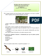 6º Básico 2015 Ciencias Naturales