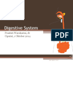 Anfis-Digestive System