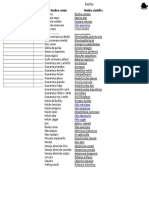 Taxonomia Aves