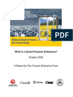 Social Purpose Enterprise