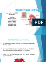 Enfermedades Renales