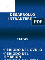 Desarrollo Intrauterino