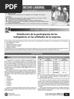 Distribución de La Participación de Los Trabajadores en Las Utilidades de La Empresa