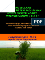 Pengelolaan Agroekosistem Padi Sawah Model System of Rice Intensification (Sri)