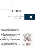 Nefrologie Introducere