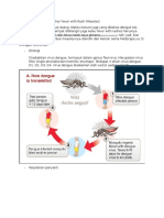 Dengue Infection and Other Fever With Rash