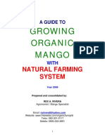 Growing Organic Mango