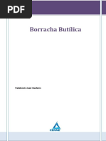 borrachabutilica-130327145155-phpapp01