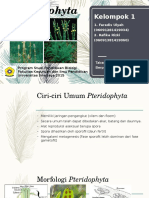 Pteridophytaa