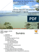Depositos Fluvio-Lacustre e Lagunar