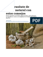 Desparasítate de Forma Natural Con Estos Consejos