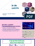 EXPO DE bacillus subtilis