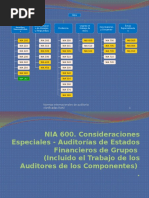 Resumen NIA 600 700 800