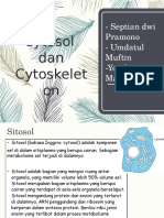 2.sitosol Dan Sitoskeleton