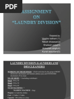 Download Final Ppt Laundry by nitesh bhawsar SN29915926 doc pdf