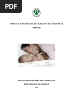 Download Panduan Rs Sayang Ibu Dan Bayi 1 by HelenaSunarja SN299163323 doc pdf