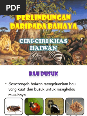 Haiwan Melindungi Diri Pdf