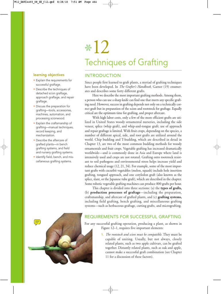 Techniques of Grafting | PDF | Grafting | Landscape