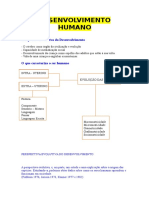 Aula Nº4 - Desenvolvimento Humano