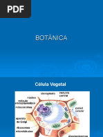 Aula 1 (2015) Celula