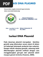 Laporan Isolasi Dna Tanaman