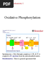 Oxidative Phosphorylation: Molecular Biochemistry I