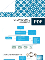 Cromosomas HUMANOS