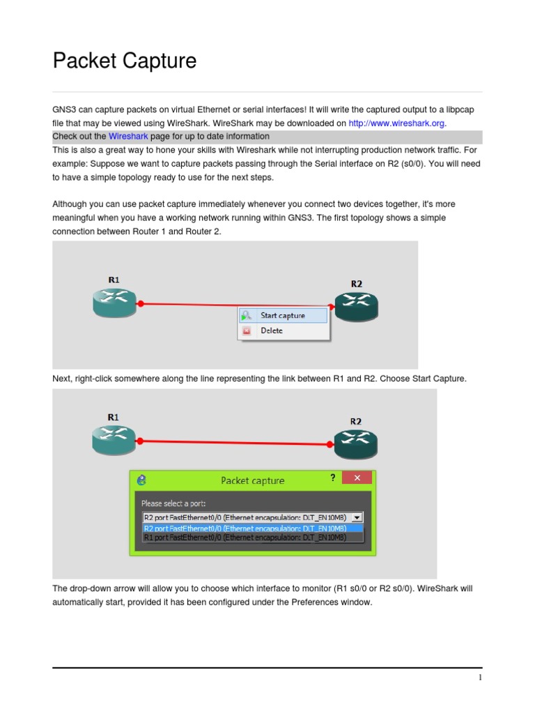 GNS3 Packet Capture PDF Router Standards