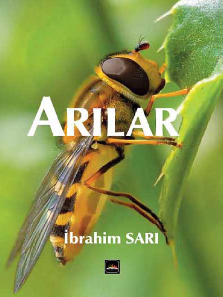 Arılar | PDF