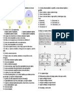 Ciclos de Vida