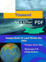 Tsunami New