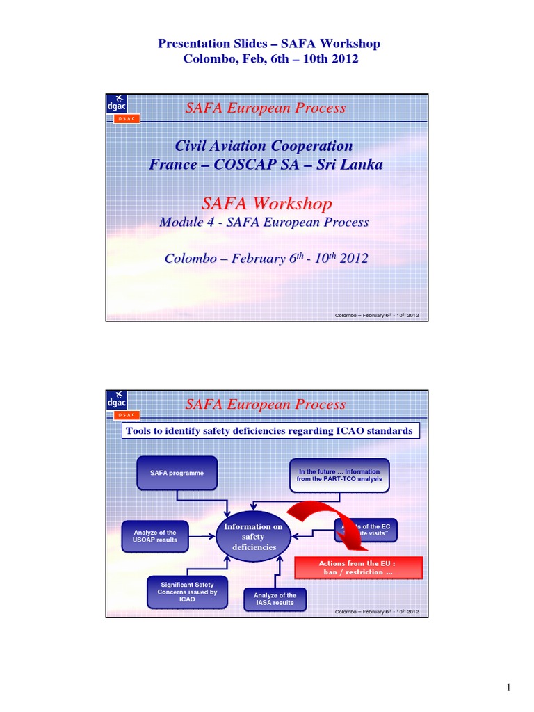 SAFA Workshop Insights and Analysis | PDF | Aviation Safety | Transport ...