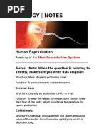 Biology - Notes: Human Reproduction