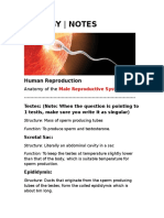Biology - Notes: Human Reproduction