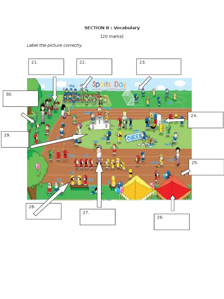 SECTION B Diagnostic Test | PDF