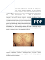 A Neurofibromatose