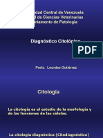 Clase Citologia 2006. Lourdes