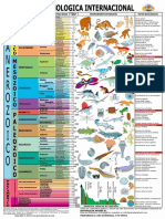 Escala Tiempos Geologicos Time Geologycal Scale Chart1 1