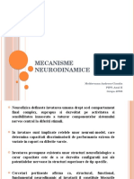 Mecanisme Neurodinamice