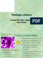 Patologia Celulara