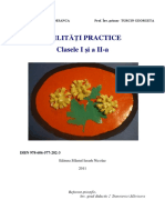 Abilitati_practice. Clasele I Si II
