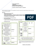 Guia Nomenclatura Noveno PDF