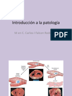 Introdccion a La Patologia