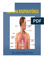 Sistema Respiratório 67 Slides